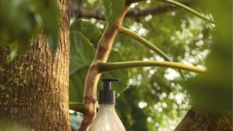 Novo Natura Ekos Andiroba traz um tratamento cosmético anti-cansaço potente