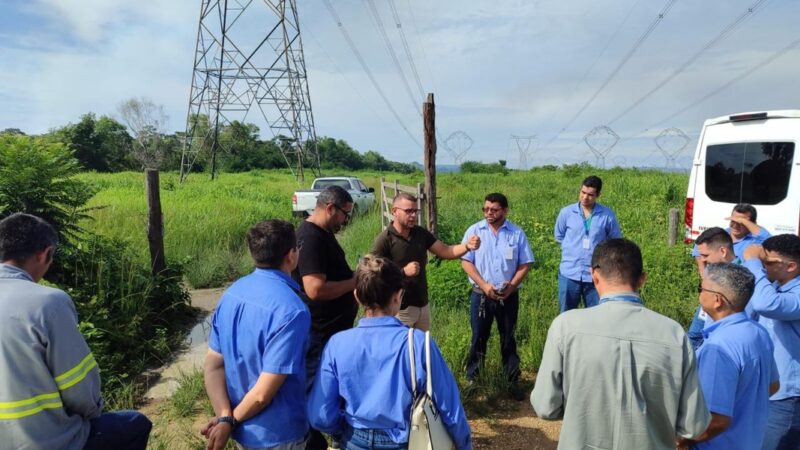 Treinamentos contínuos reduzem custos nas frotas