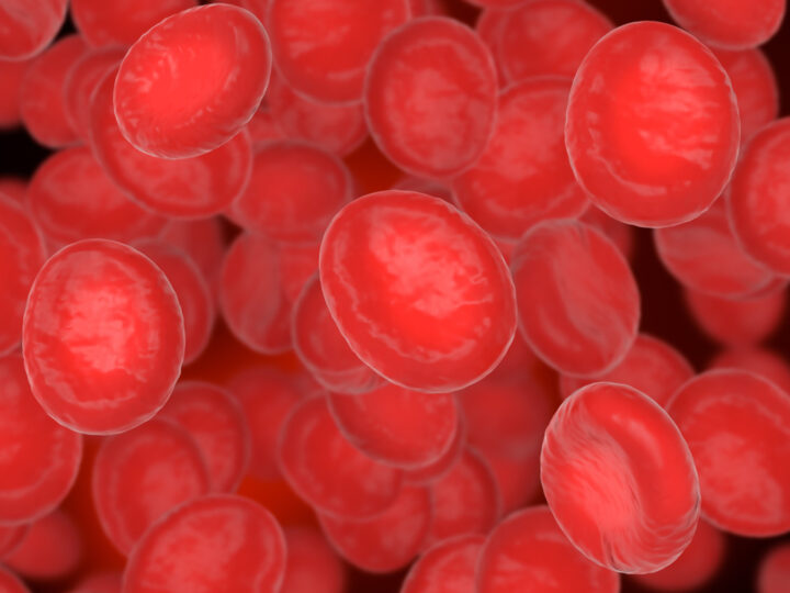 Novo tratamento para mieloma múltiplo é aprovado pela Anvisa