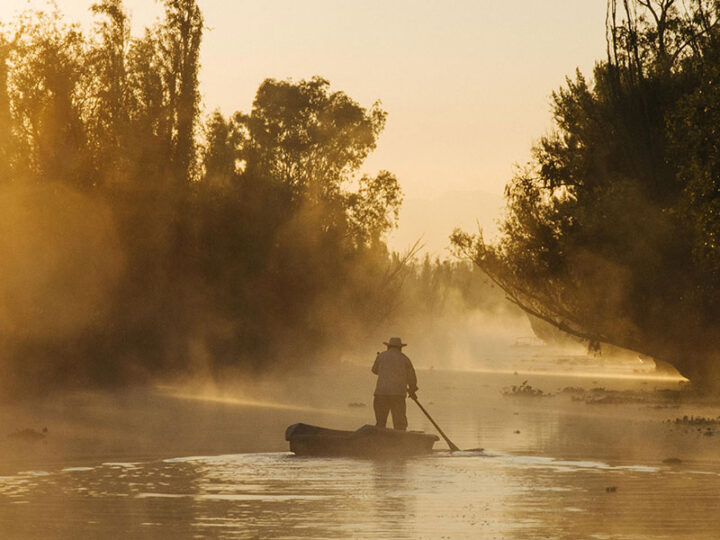 Cinco cantinhos pouco conhecidos na Cidade do México