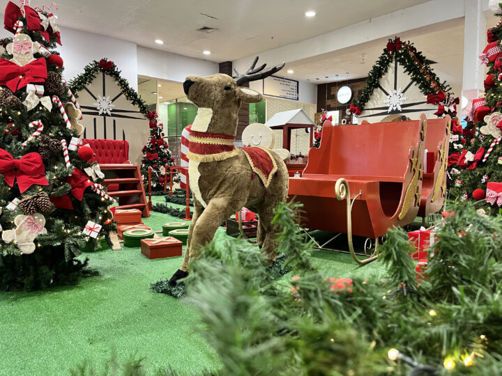 Chegada do Papai Noel marca início do Doce Natal Ventura