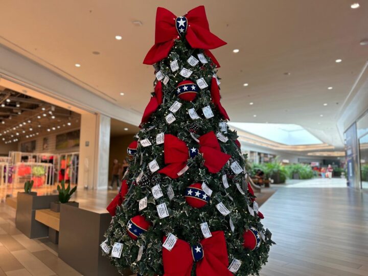 Árvore Solidária do Jockey Plaza Shopping convida clientes a adotarem pedidos de idosos neste Natal