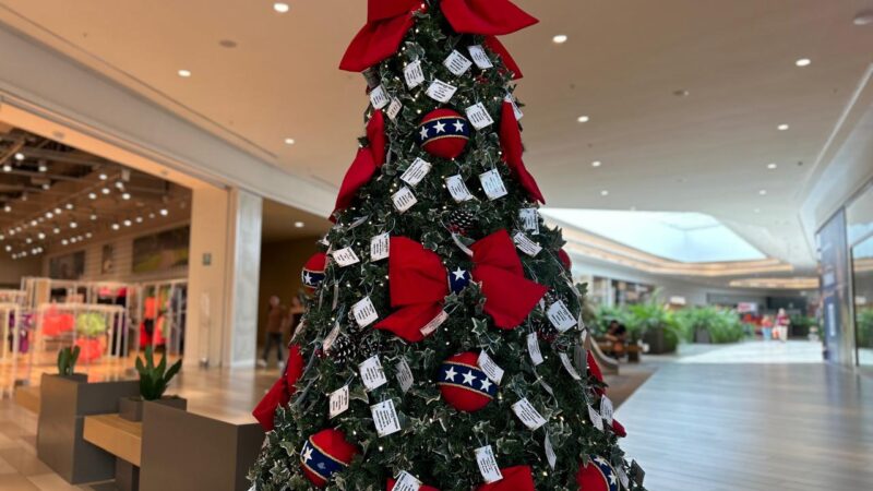 Árvore Solidária do Jockey Plaza Shopping convida clientes a adotarem pedidos de idosos neste Natal