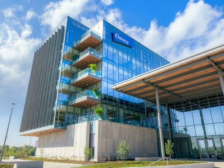 Elanco projeta ciclo de crescimento em Dia do Investidor