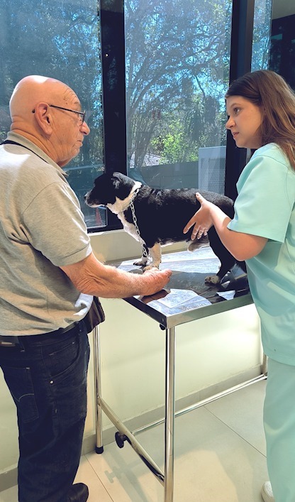 Hospital Veterinário alerta da importância de cuidar e proteger os animais