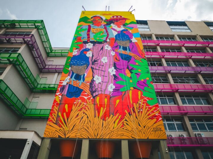 Juiz de Fora ganha nova obra de arte em grande escala do artista Wes Gama