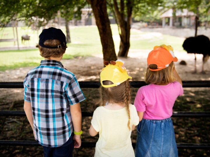 Recesso escolar exige adaptação para famílias de crianças com TEA