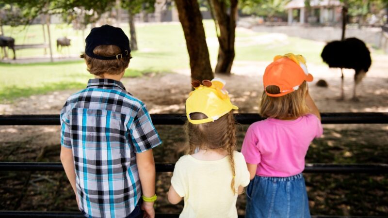 Recesso escolar exige adaptação para famílias de crianças com TEA