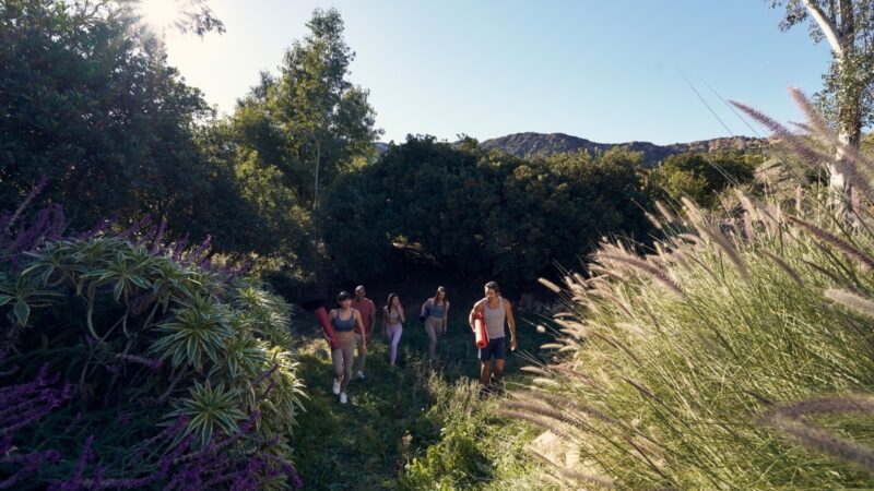 Yoga cresce com o setor de bem-estar no país