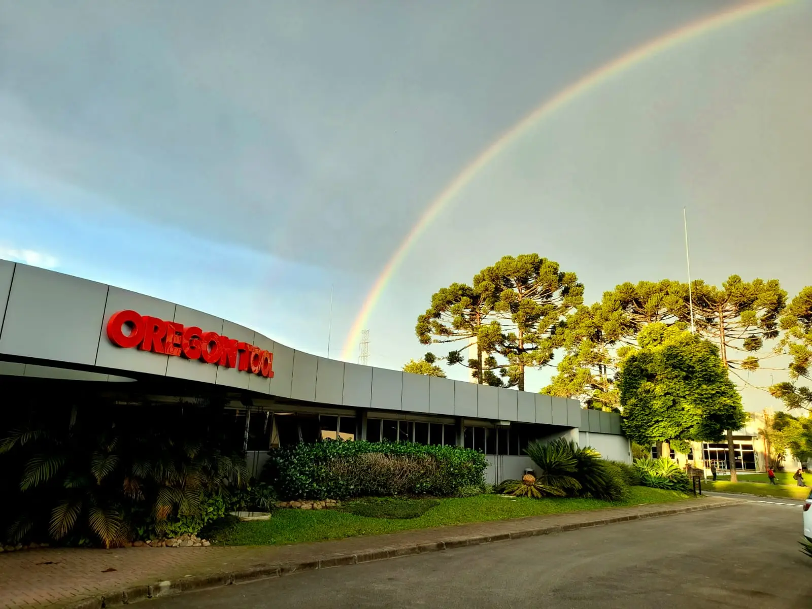 Oregon Tool impulsiona crescimento 30% acima do mercado com profissionalização dos distribuidores na América Latina