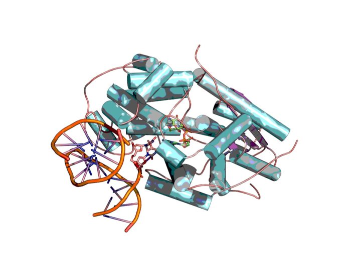 Natura investe em biotecnologia para dermocosméticos de reparação celular avançada