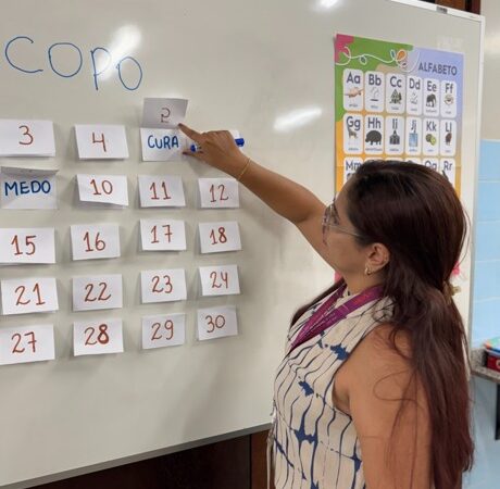 Educação interrompida no Brasil: milhões ainda não sabem ler ou escrever e universidades se mobilizam para enfrentar o desafio