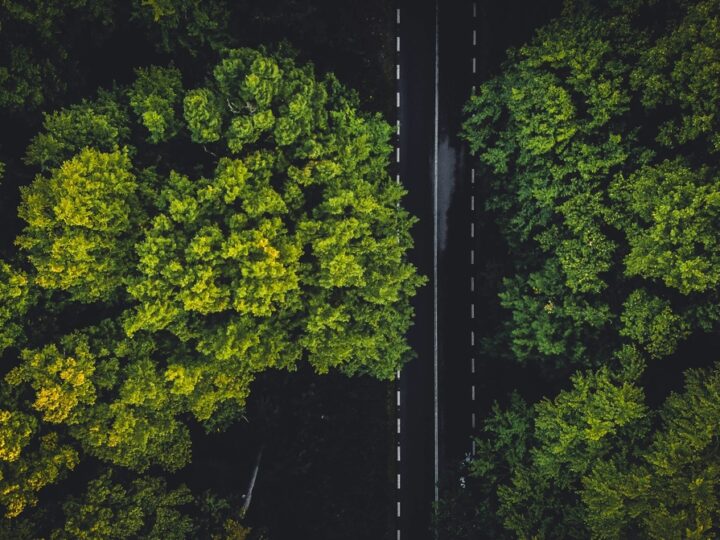 Empresas se adaptam às novas exigências de sustentabilidade