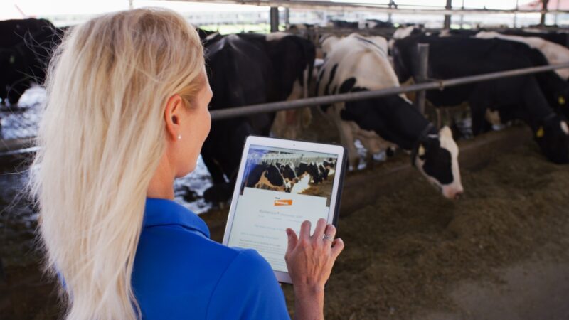 Canetas emagrecedoras impulsionam consumo de proteína