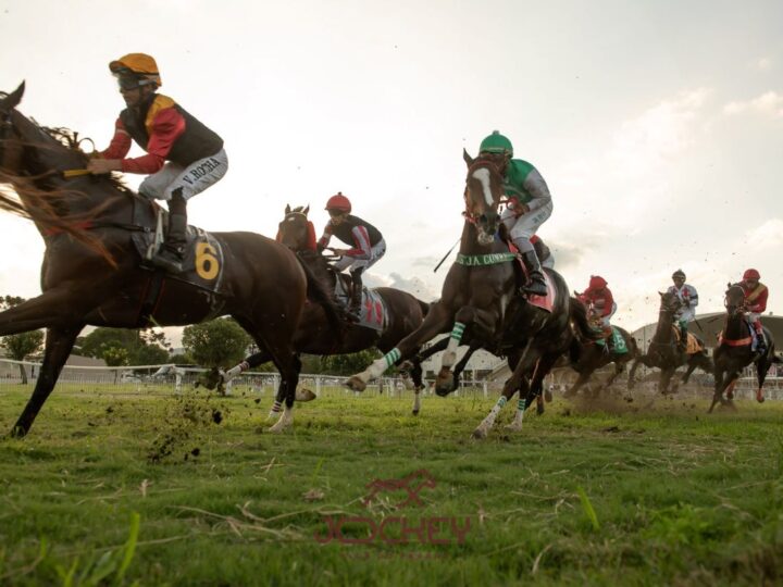 Dia do Derby, no próximo domingo,  reúne corridas, atrações para toda a família e exposição de arte no Jockey Club do Paraná
