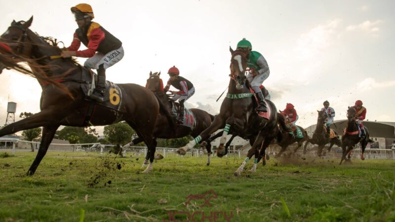 Dia do Derby, no próximo domingo,  reúne corridas, atrações para toda a família e exposição de arte no Jockey Club do Paraná