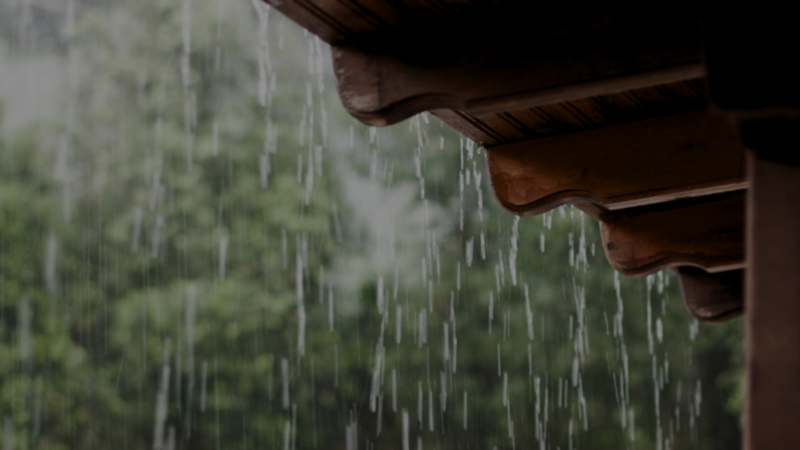 Calor e chuva aceleram avanço da dengue no país