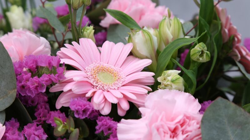 Emoção desafia previsões e redefine demanda no varejo