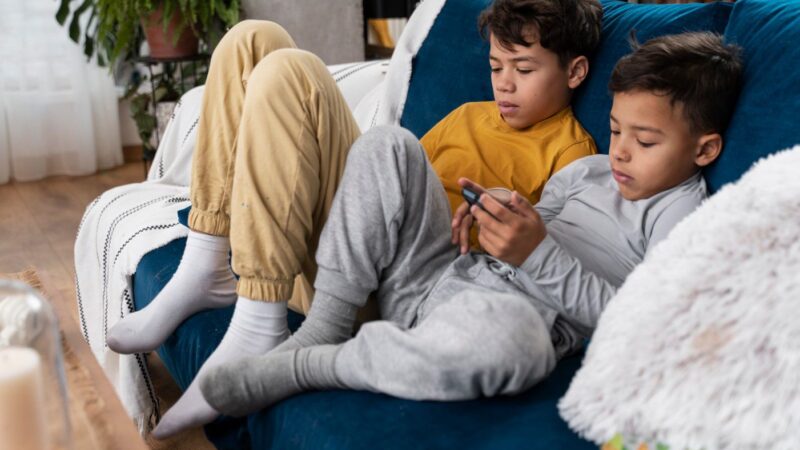 Lei Felca: entenda o novo marco de proteção para crianças e adolescentes