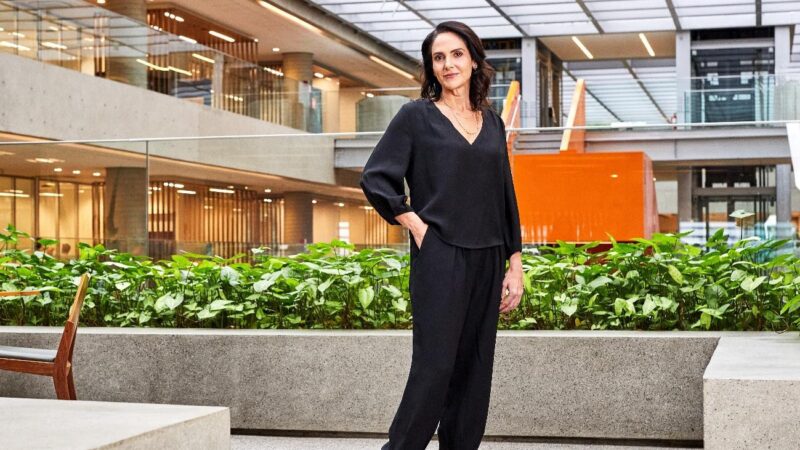 Natura lidera participação do mercado brasileiro de cosméticos; Avon segue no topo em maquiagem