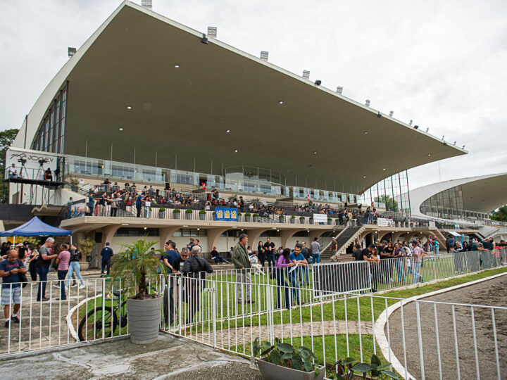 Feriado de Tiradentes terá corridas ao vivo, lazer e programação especial no Jockey Club do Paraná