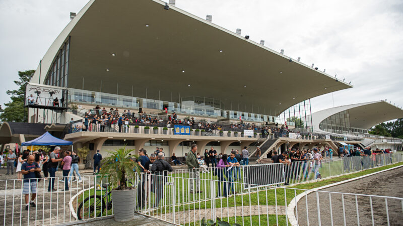Feriado de Tiradentes terá corridas ao vivo, lazer e programação especial no Jockey Club do Paraná