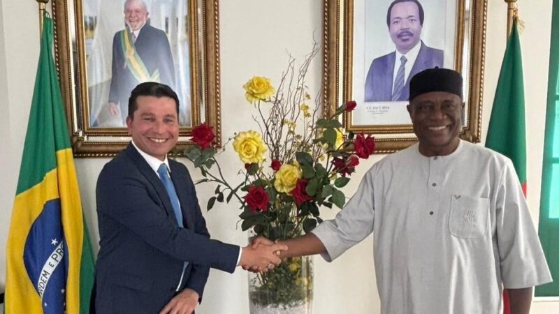 Produto brasileiro ganha apoio internacional contra malária