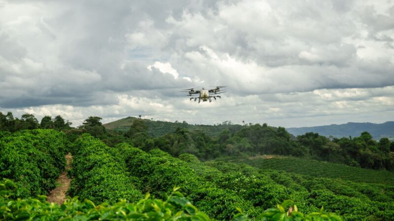 Relatório global DJI comprova benefício ambiental dos drones