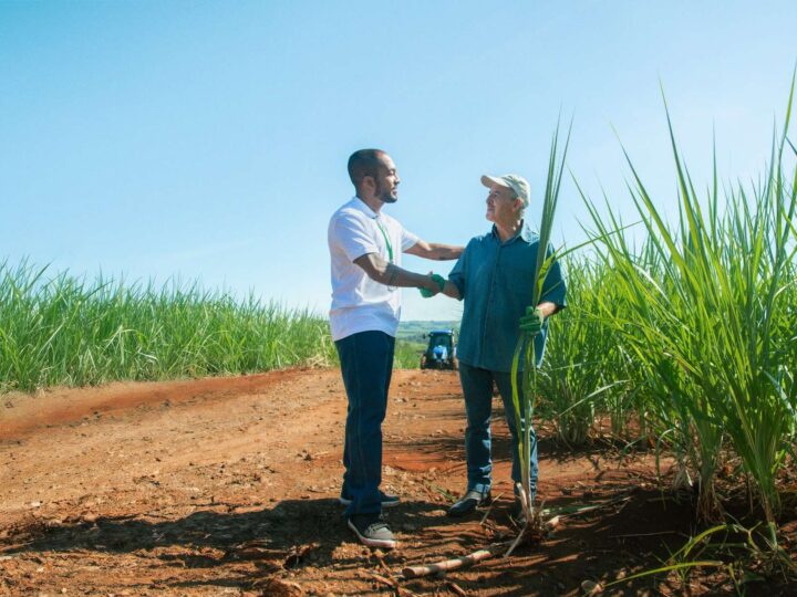 Crédito rural do Sicredi soma R$ 13,7 bilhões em São Paulo, Rio de Janeiro e Paraná