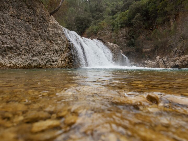 Proteção das nascentes orienta atuação de indústria de água mineral no Paraná