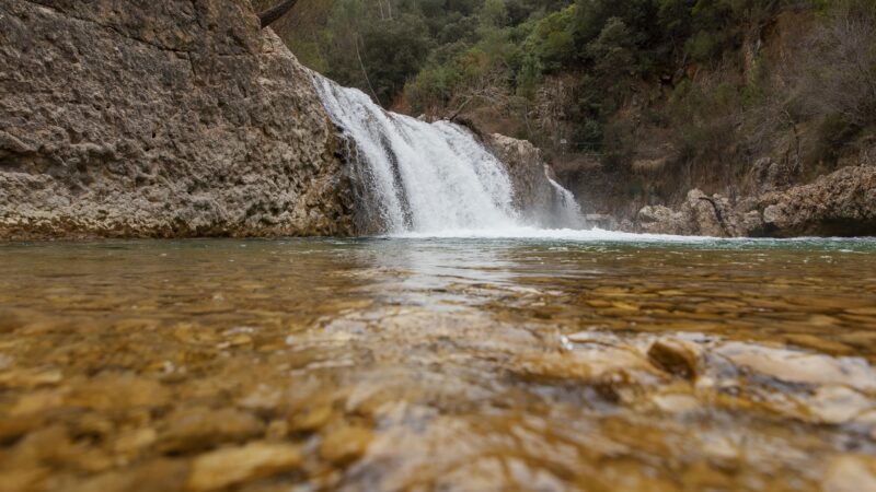 Proteção das nascentes orienta atuação de indústria de água mineral no Paraná