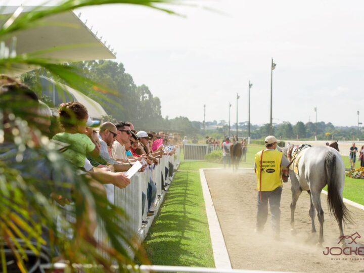 Domingo terá corridas ao vivo e programação para toda a família no Jockey Club do Paraná