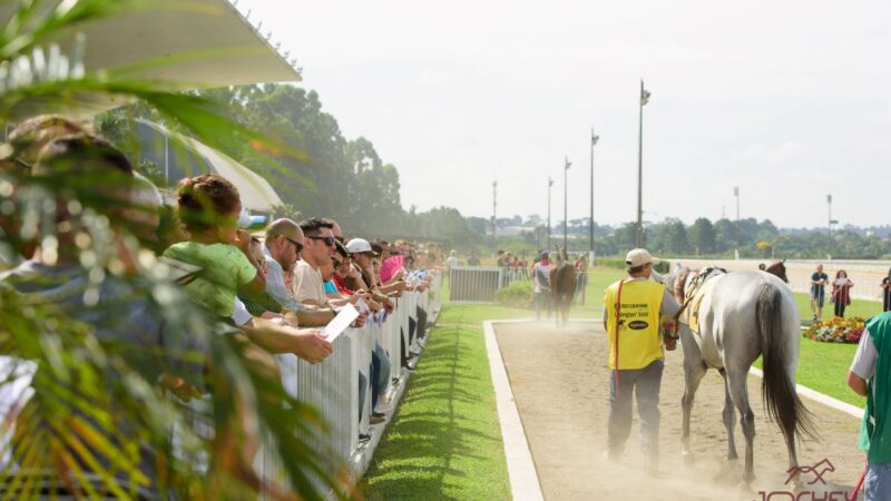 Domingo terá corridas ao vivo e programação para toda a família no Jockey Club do Paraná