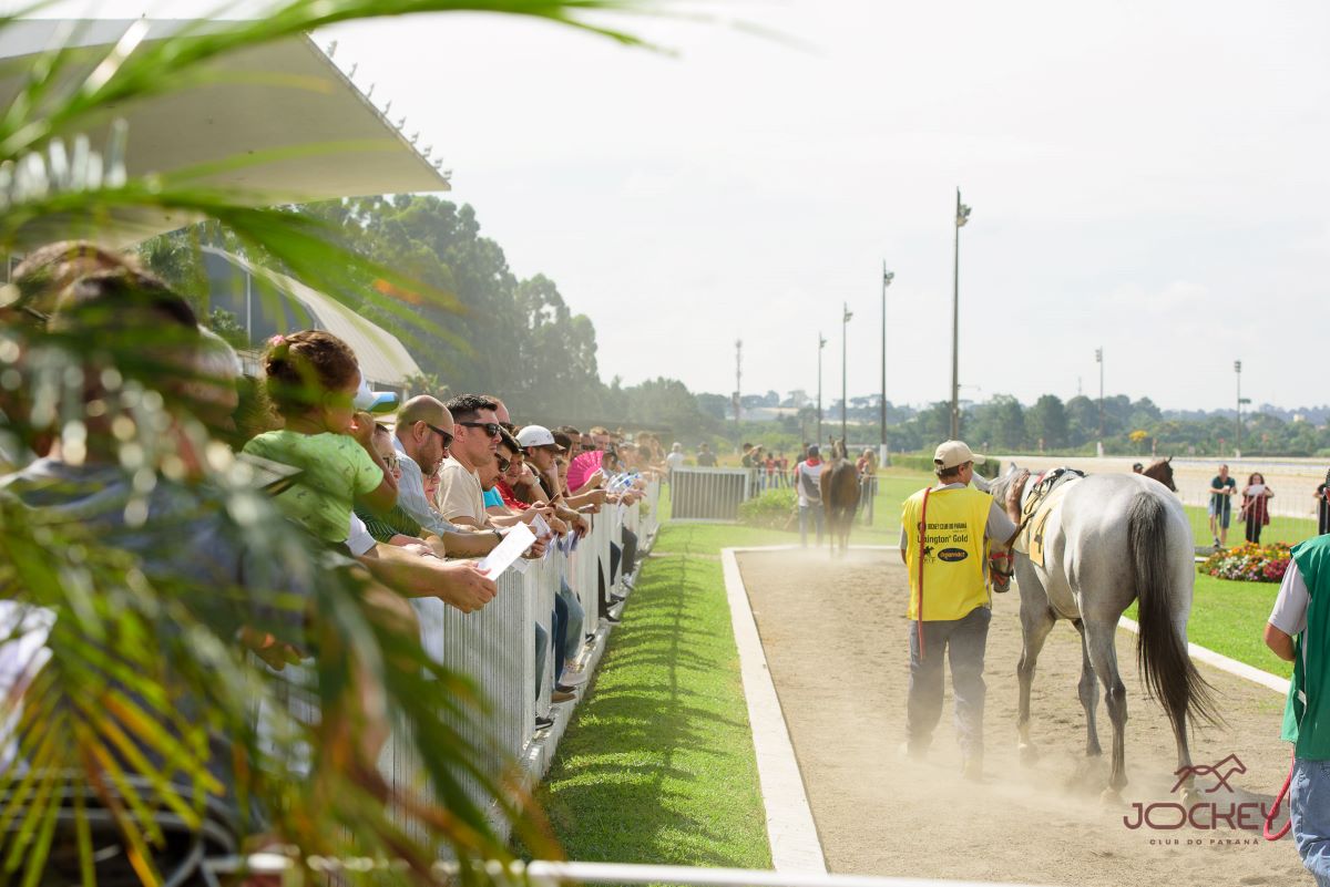 Domingo terá corridas ao vivo e programação para toda a família no Jockey Club do Paraná