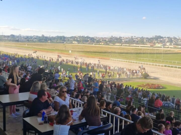 Sabadão terá corridas ao vivo e programação para toda a família no Jockey Club do Paraná