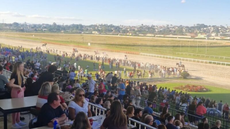 Sabadão terá corridas ao vivo e programação para toda a família no Jockey Club do Paraná
