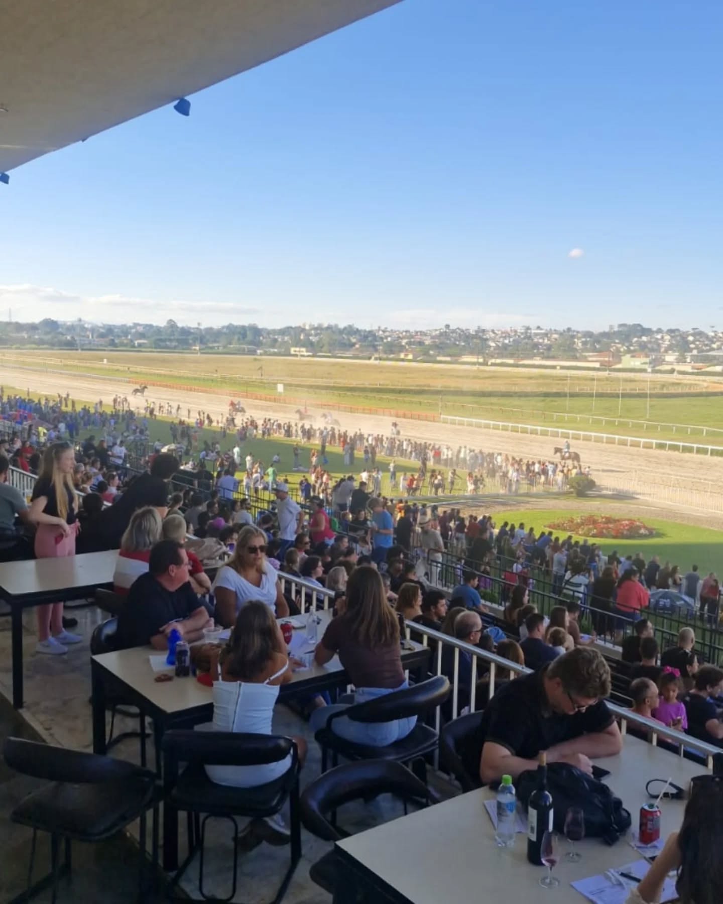 Sabadão terá corridas ao vivo e programação para toda a família no Jockey Club do Paraná