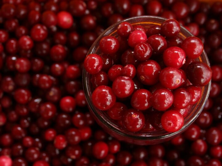 Cranberry ganha espaço como aliado na saúde