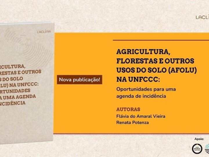 LACLIMA examina uso da terra no regime climático global