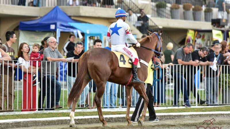 Próximo Domingo é  dia de corridas ao vivo e programação para toda a família no Jockey Club do Paraná