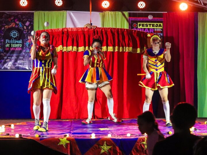 Programa Ceará Criativo promove a circulação de 130 artistas