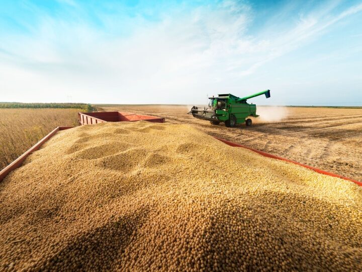 Grupo do agro aprova recuperação judicial com deságio de 85%