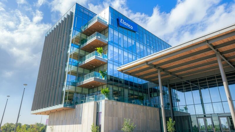 Elanco amplia projeções para 2026 após crescimento de 10%