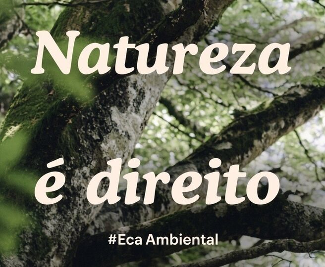 ECA Ambiental é aprovado no Congresso Nacional