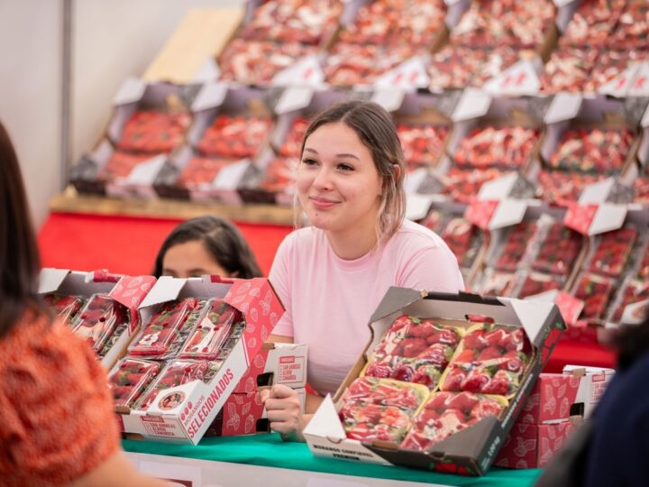 Festa de Flores e Morangos de Atibaia abre até 27/09