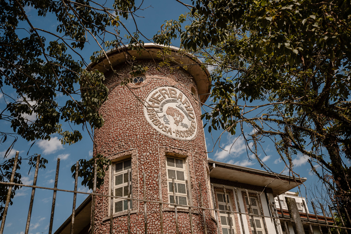 Pesquisa em herbário de SC descobre seis espécies de plantas