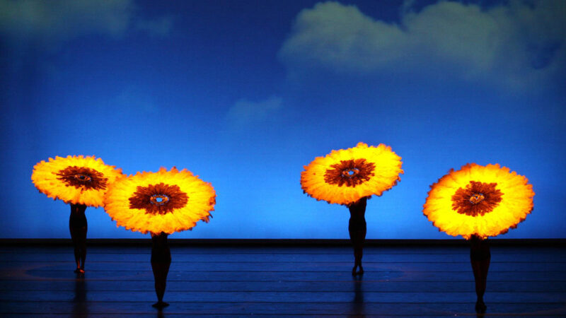 MOMIX apresenta o espetáculo BOTANICA em turnê pelo Brasil
