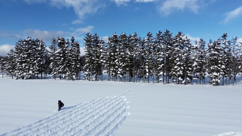 Land Art: artistas transformam natureza em telas