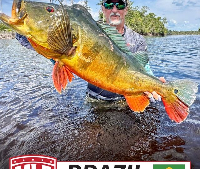MLF anuncia entrada no Brasil em 2027