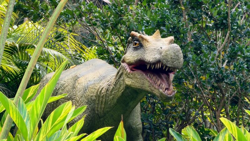Fóssil de dinossauro que será devolvido ao Brasil tem réplica em parque de SC